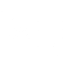 WhatsApp Icon
